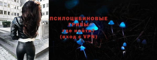 меф Арсеньев