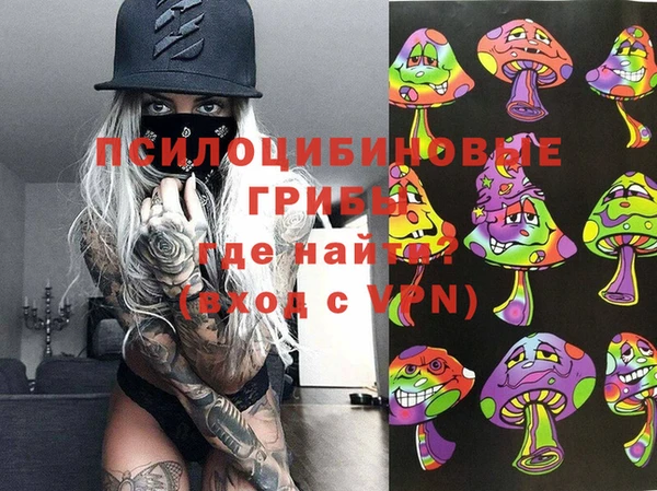 меф Арсеньев