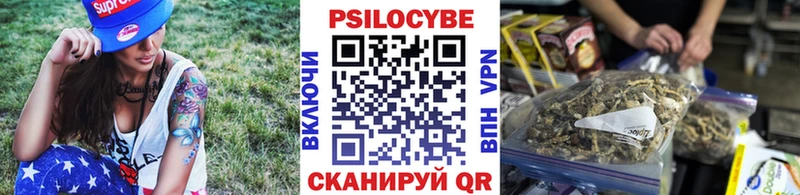 Псилоцибиновые грибы GOLDEN TEACHER  Купить где  Топки 